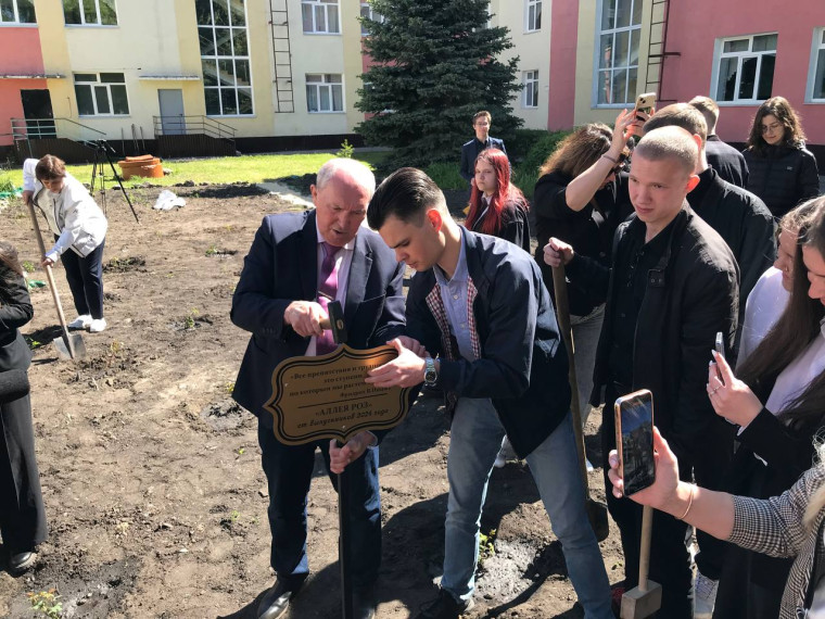 Ульяновские выпускники высадили аллею роз в своей школе