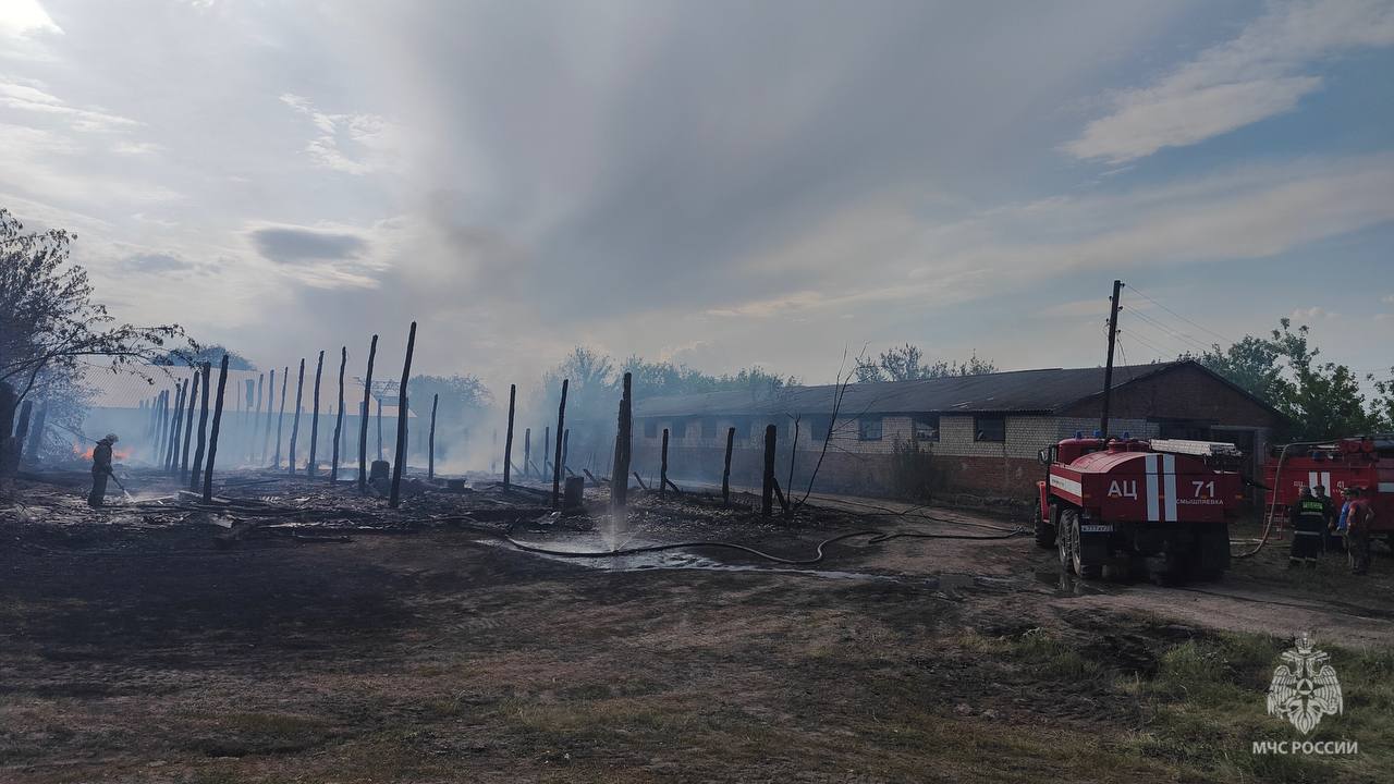 В Барышском районе потушили пожар в сарае