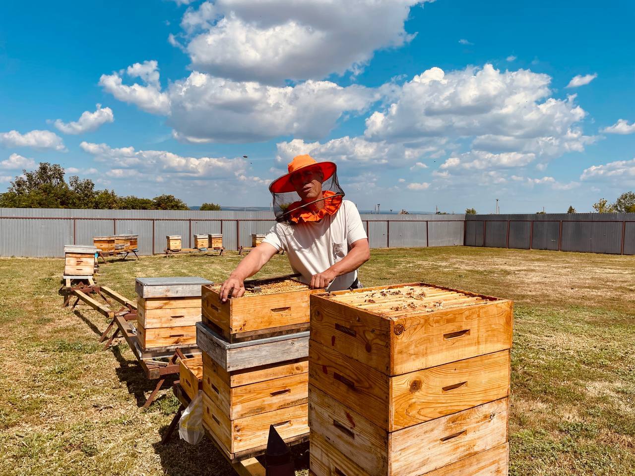 Весы для ульев изобрёл пчеловод из Новоспасского района