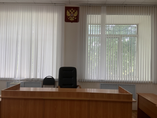 В Ульяновске суд оштрафовал женщину, которая «родила» несуществующего ребёнка
