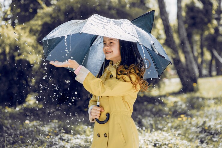 Готовим зонты: в начале недели ульяновцам обещают дождливую погоду