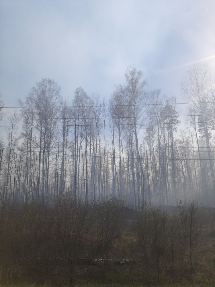 В Инзенском районе потушили 70 гектаров леса, ищут причину возгорания