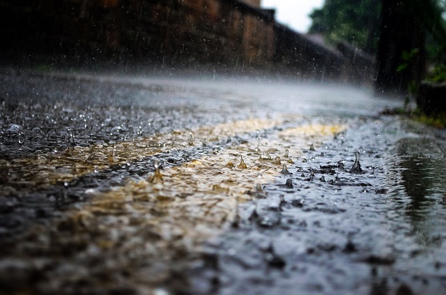 Гроза, местами дождь: МЧС о погоде в регионе 24 июня