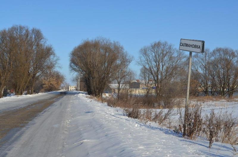 Салмановка ульяновская область. Салмановка Пензенская область деревня.