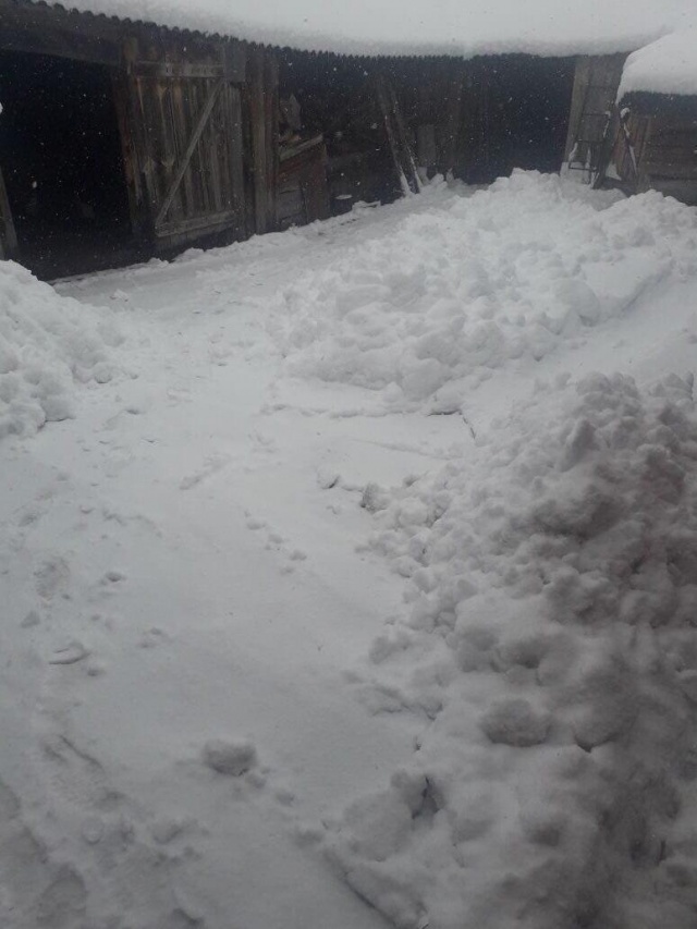 Ульяновск завалило снегом. Борисоглебский район завалило снегом 28 декабря. Ливенском районе завалило снегом парня 2010 году. Метель завтра