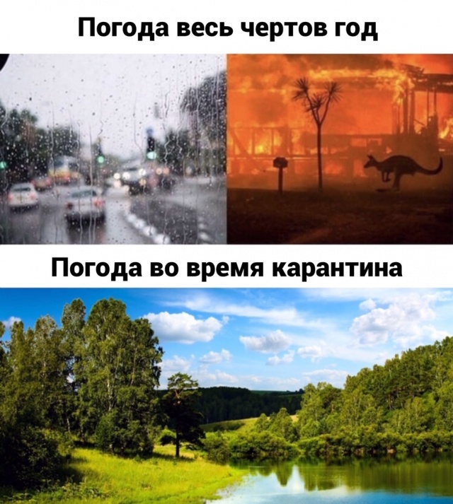 Погода в карсуне на месяц