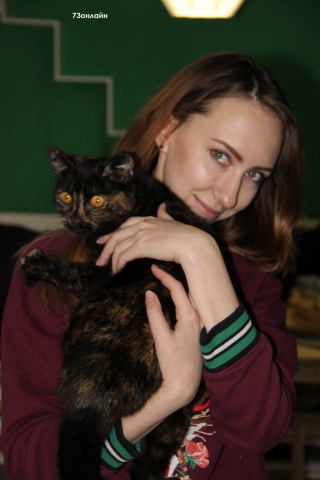 ������� ����-���� 