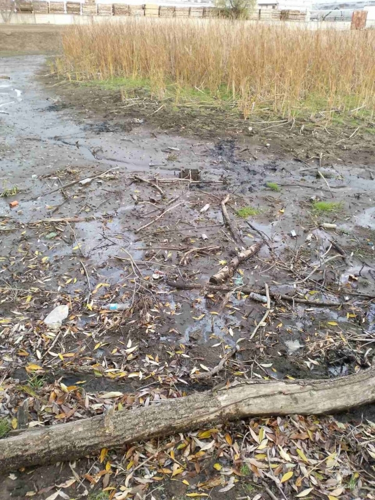 В Димитровграде семилетнего ребёнка засосало в болото / Новостной портал  Ульяновска / 73online.ru