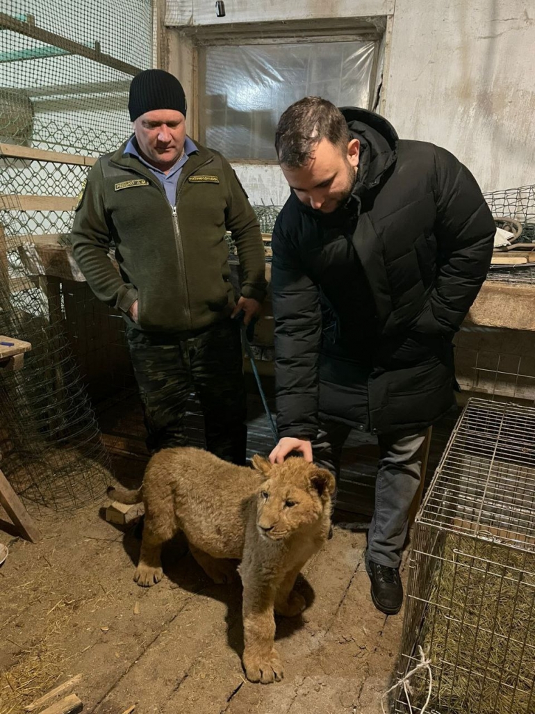 Ульяновский зоопарк оренбургская ул 41б ульяновск отзывы. Ульяновский зоопарк. Зоопарк Ульяновск.