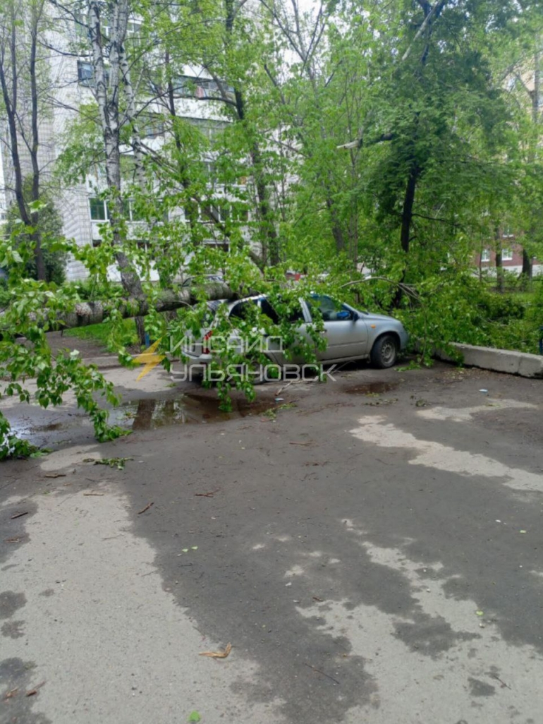 На Кузоватовской дерево рухнуло на машину
