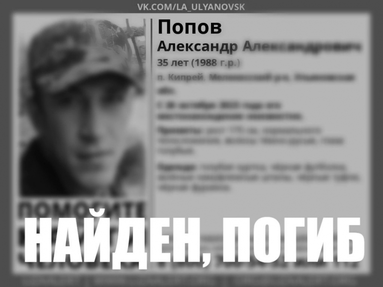 В Мелекесском районе завершили поиски 35-летнего мужчины