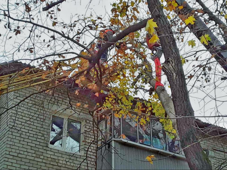 Дерево упало на крышу дома