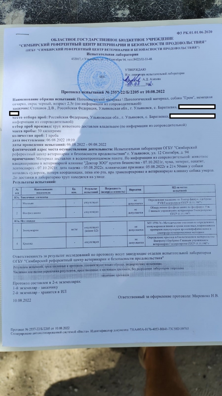 Бил гусей, травил собак. Владелец отравленного пса из Баратаевки рассказал  о соседе / Новостной портал Ульяновска / 73online.ru