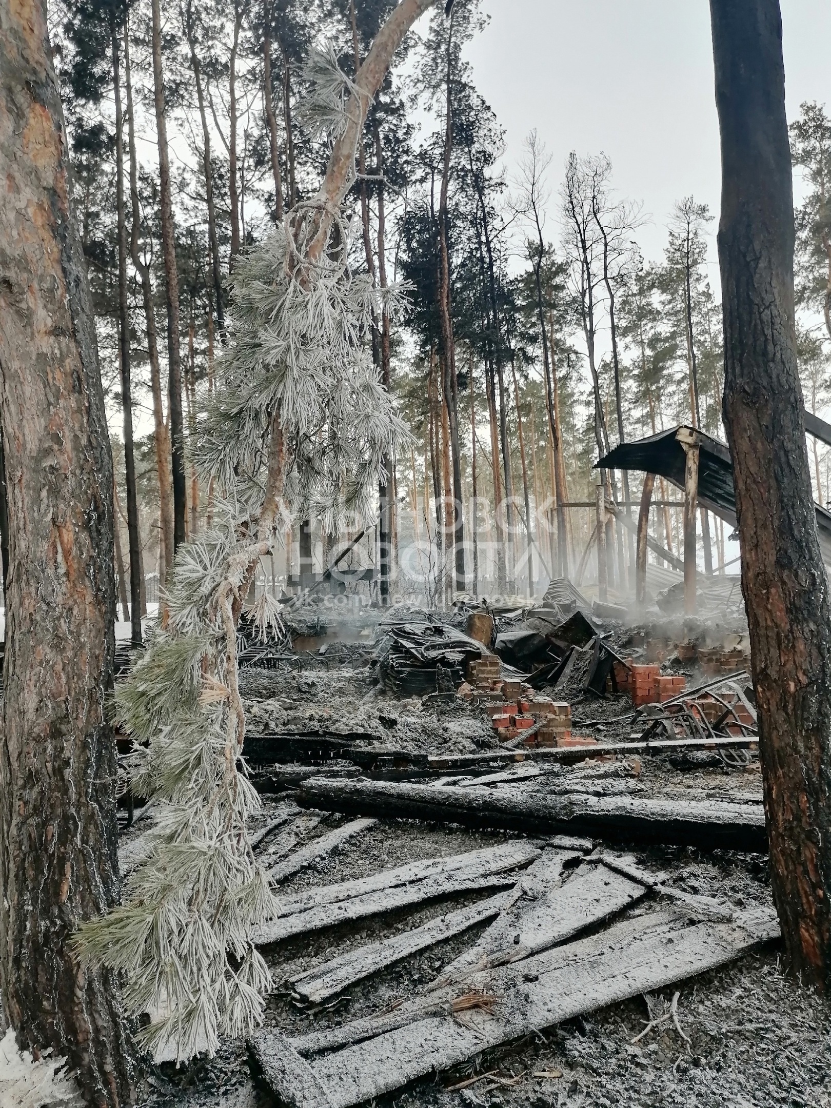 Собственник «Архангельской слободы» Долгановский назвал ущерб от пожара
