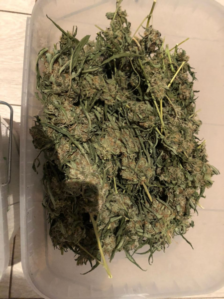 10 килограмм марихуаны тор браузер касперский gidra